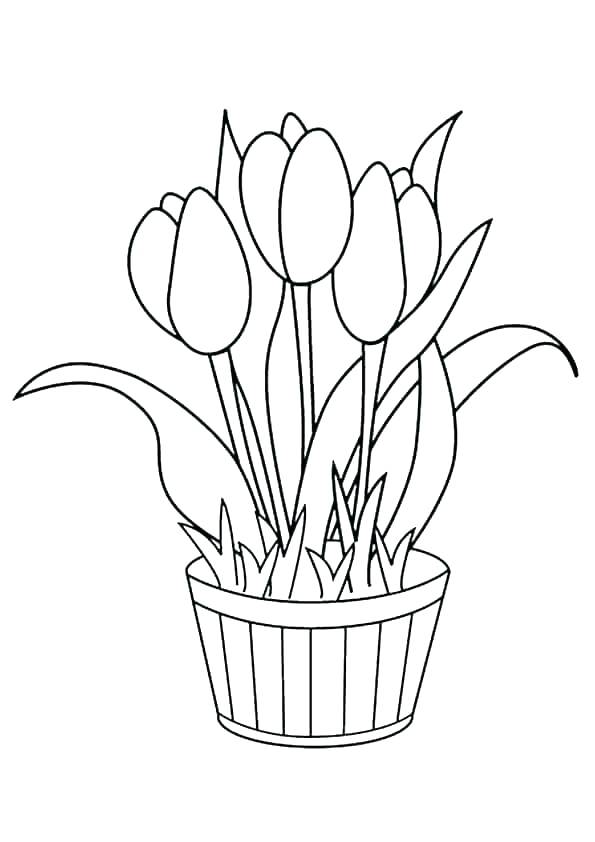 Download Flower Pot Coloring Pages - Best Coloring Pages For Kids