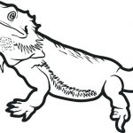 Bearded Dragon Coloring Pages