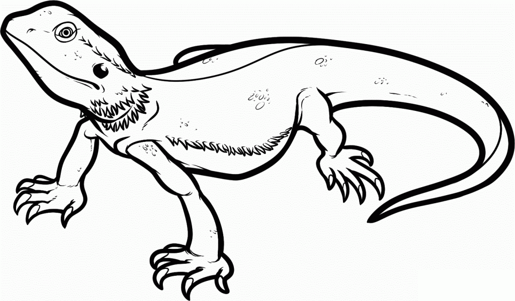 Bearded Dragon Lizard Coloring Pages