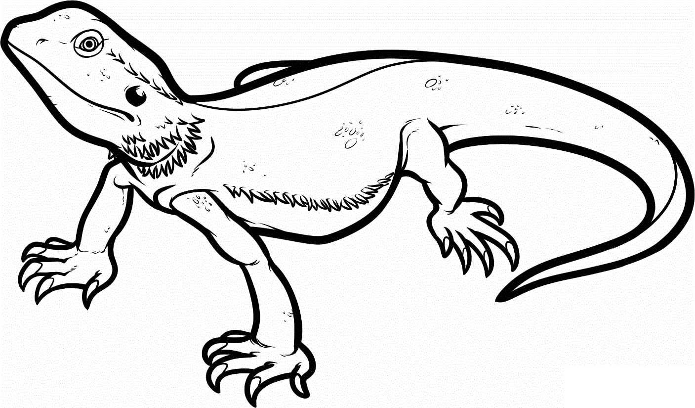 Bearded Dragon Coloring Pages - Best Coloring Pages For Kids