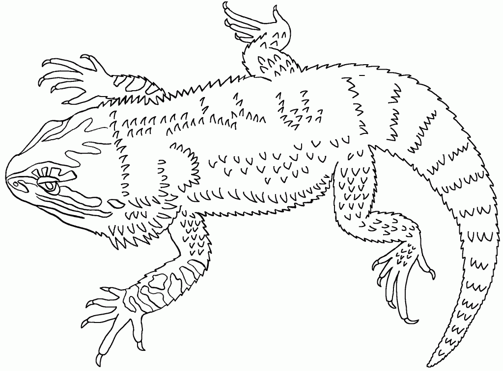 Bearded Dragon Printable Coloring Pages