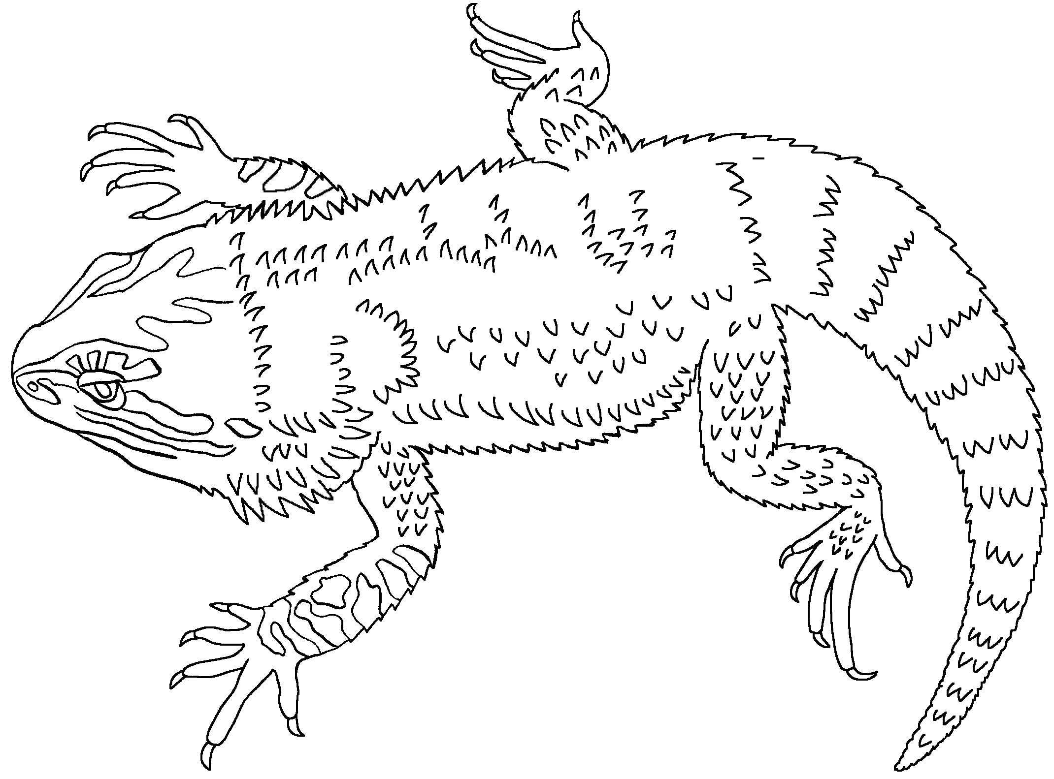 Bearded Dragon Coloring Pages - Best Coloring Pages For Kids