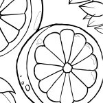 Orange Slices Coloring Pages