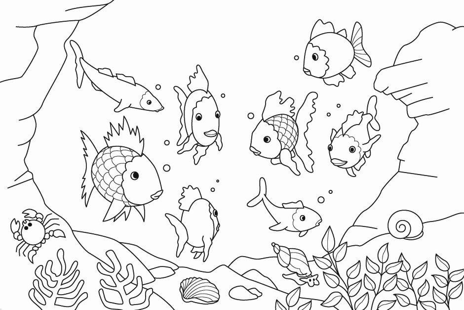 Aquarium Fish Coloring Pages