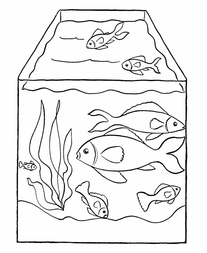 Aquarium Tank Coloring Pages
