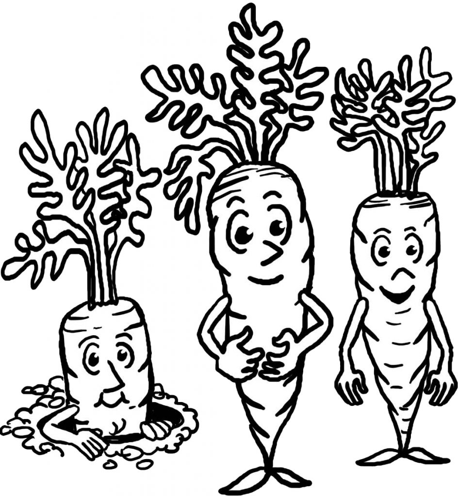 Carrots Coloring Page