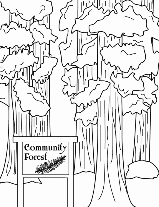 Community Forest Coloring Page