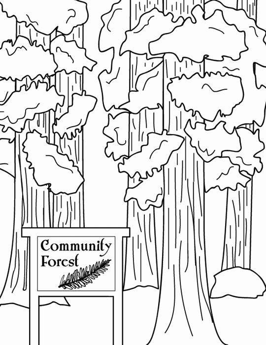 Forest Trees Coloring Pages