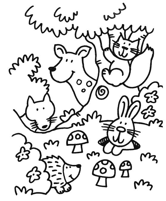 Forest Animals Colouring Pages