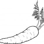 Easy Carrot Coloring Page