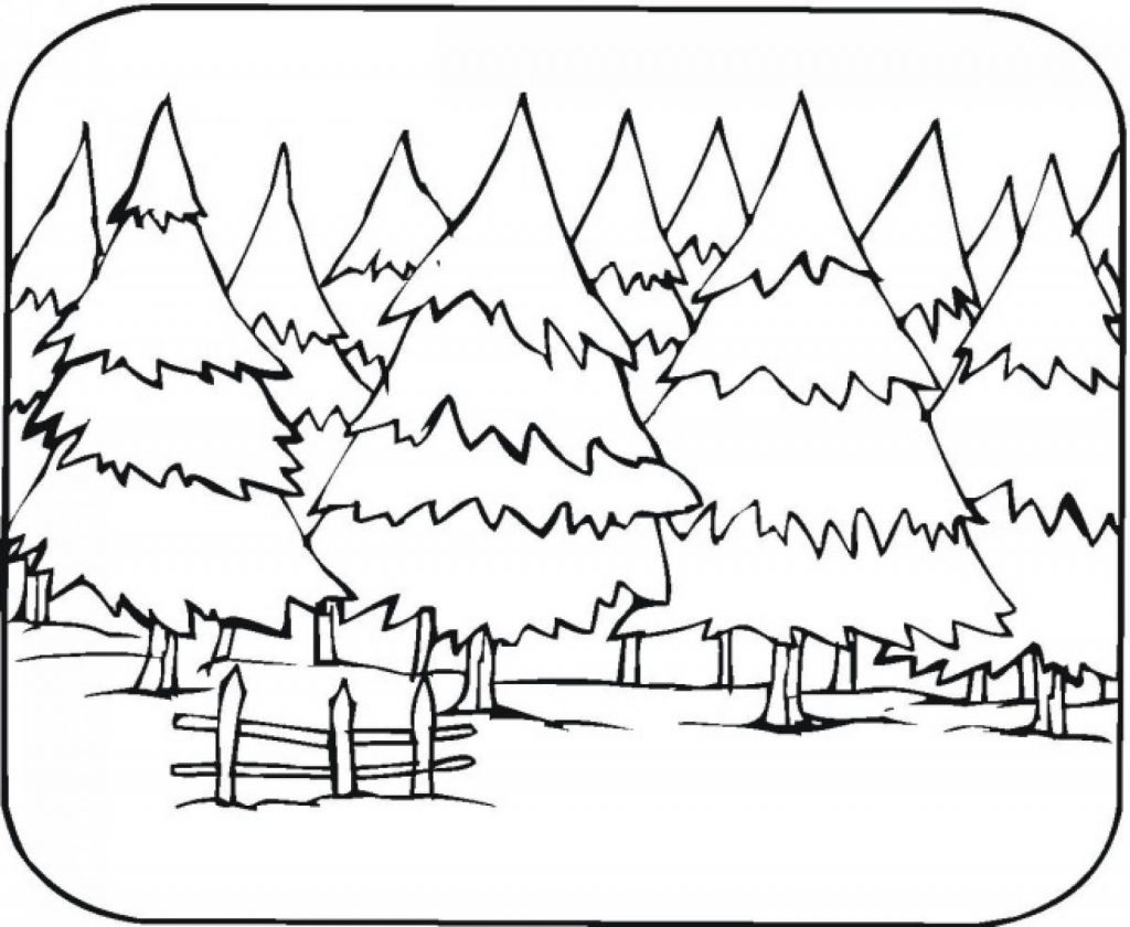 Evergreen Forest Coloring Page