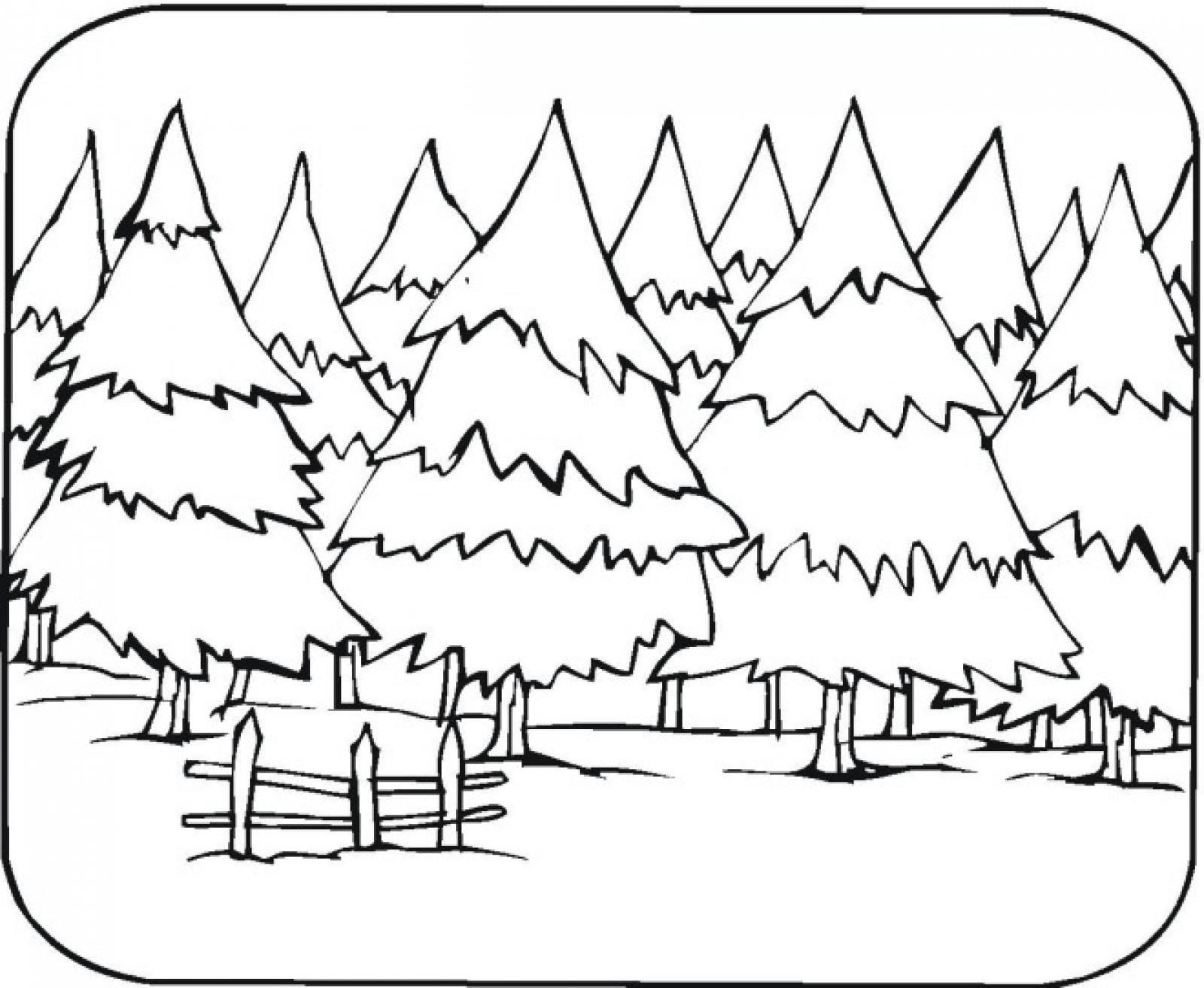Forest Coloring Pages Best Coloring Pages For Kids