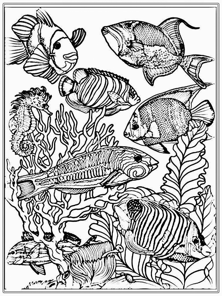 Aquarium Coloring Pages - Best Coloring Pages For Kids