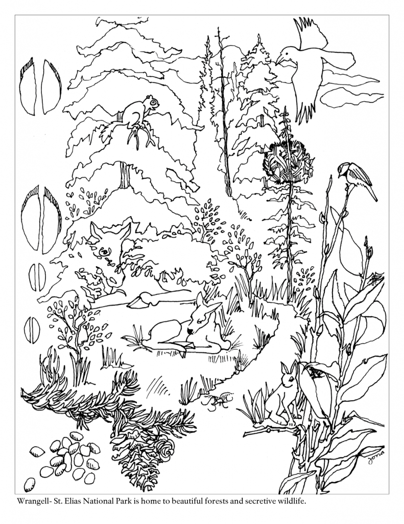 Forest Coloring Page