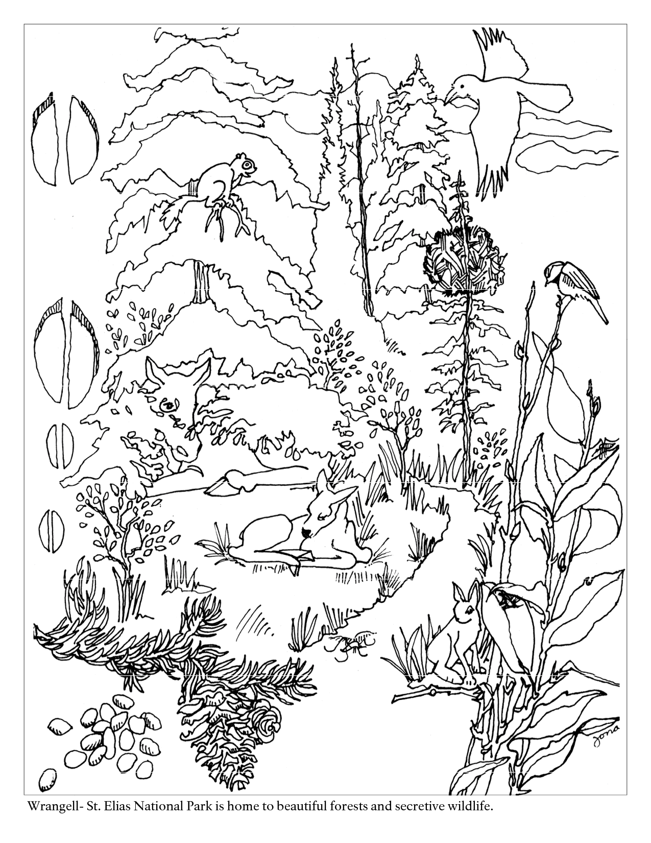 Forest Coloring Pages   Best Coloring Pages For Kids