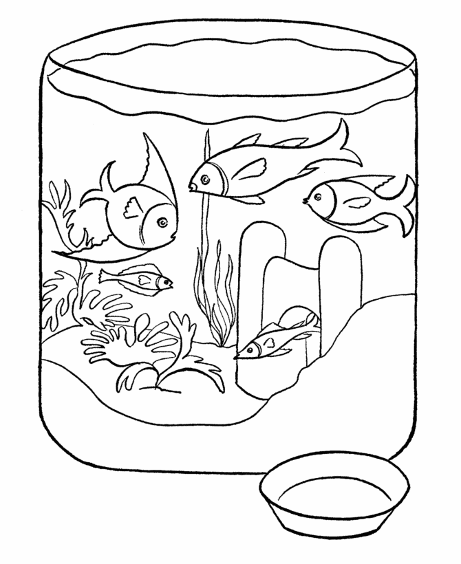 Small Aquarium Coloring Page
