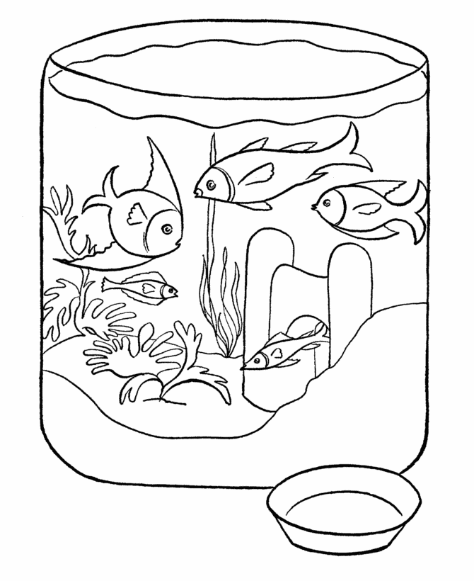 Aquarium Coloring Pages Best Coloring Pages For Kids