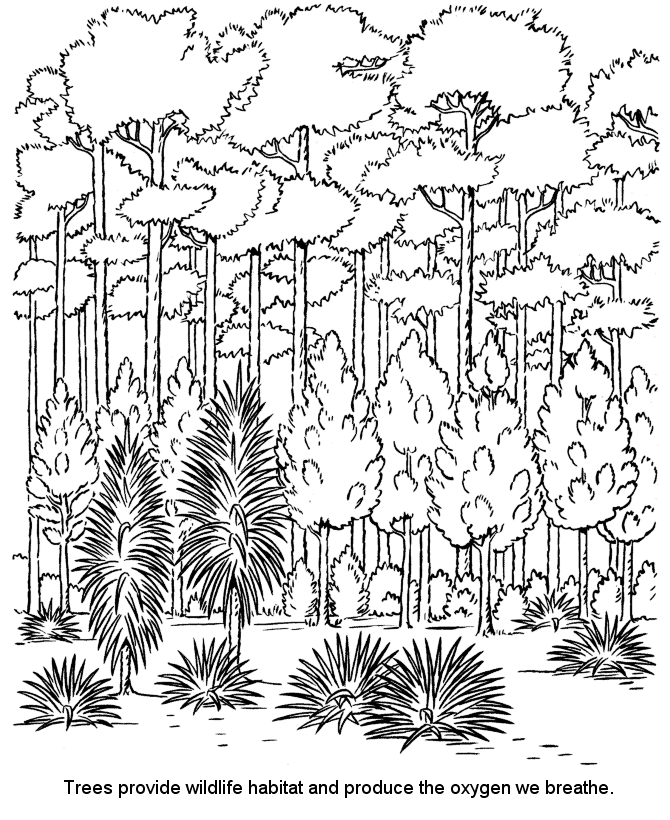 moss coloring page