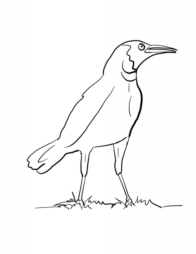 Easy Crow Coloring Page