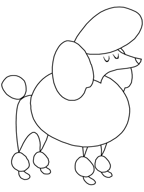 Easy Poodle Coloring Page