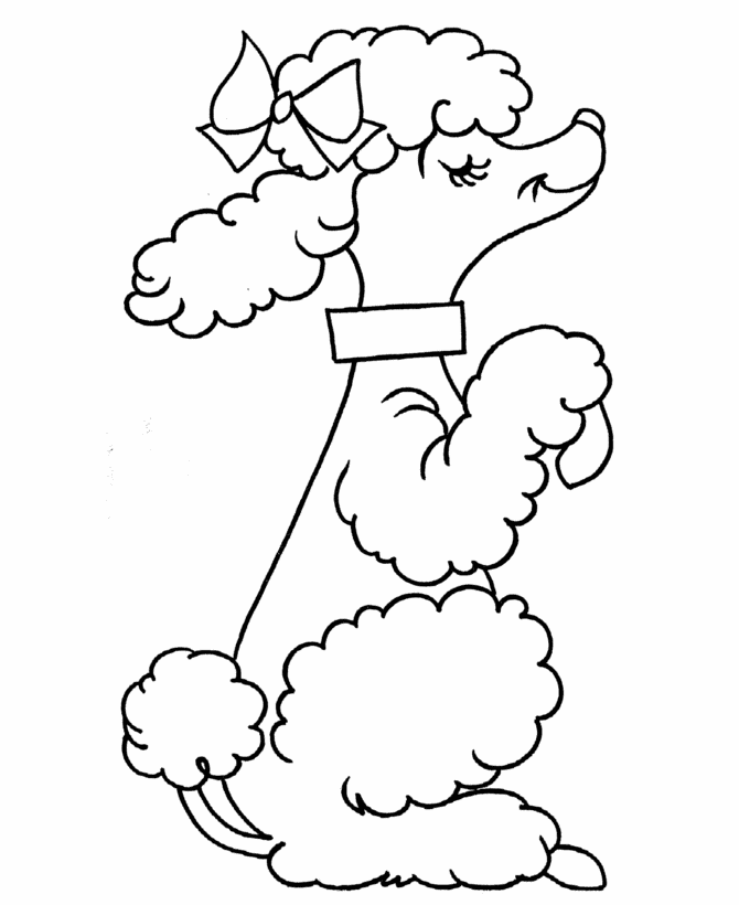 Poodle Begging Coloring Page