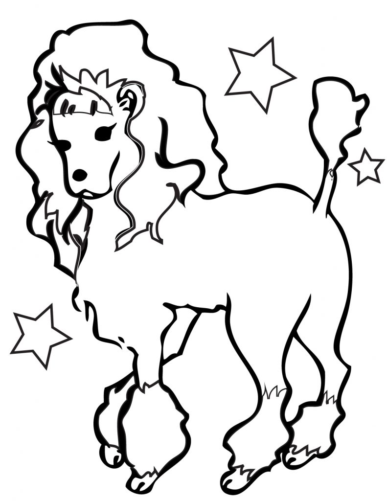 Pretty Poodle Coloring Page