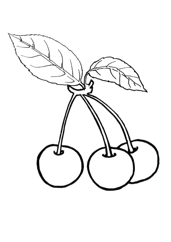 Cherry Coloring Pages - Best Coloring Pages For Kids