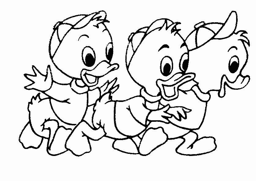 Ducklings Coloring Page