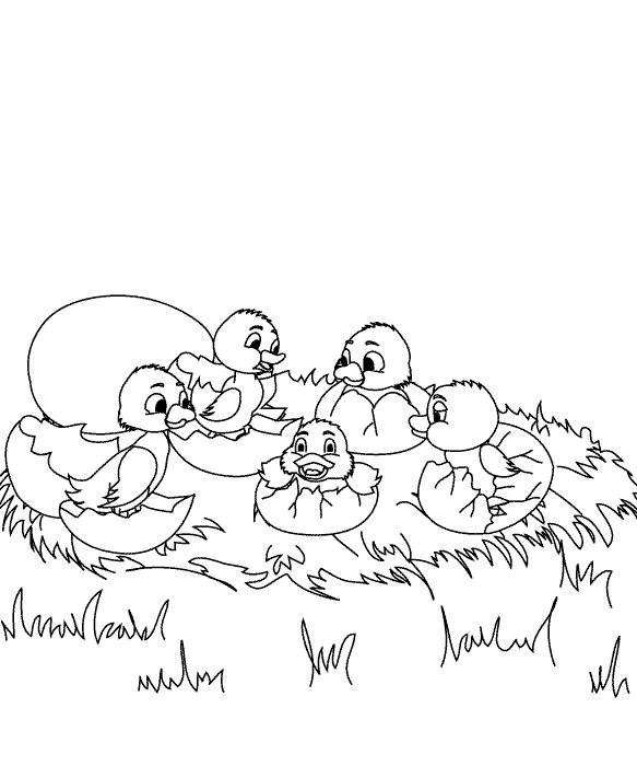 Ducklings Hatching Coloring Page