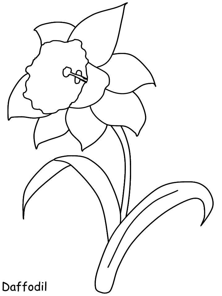 Easy Daffodil Coloring Pages