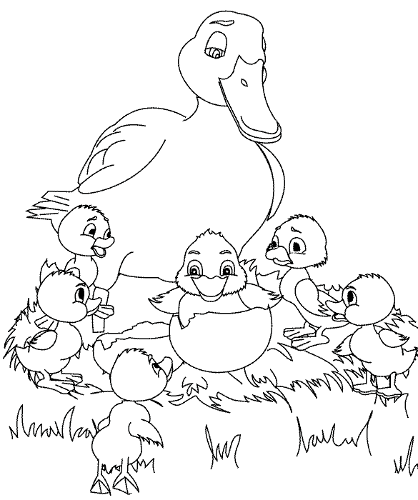 Hathing Duckling Coloring Pages