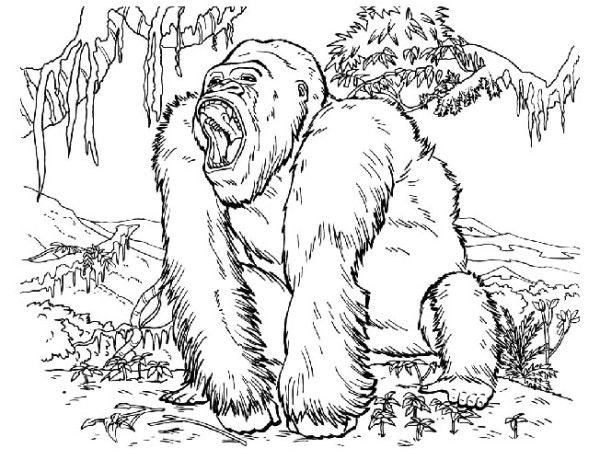 king kong coloring pages best coloring pages for kids