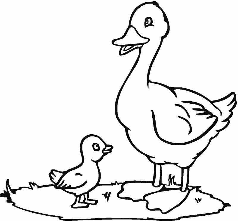 Mom And Baby Duckling Coloring Page