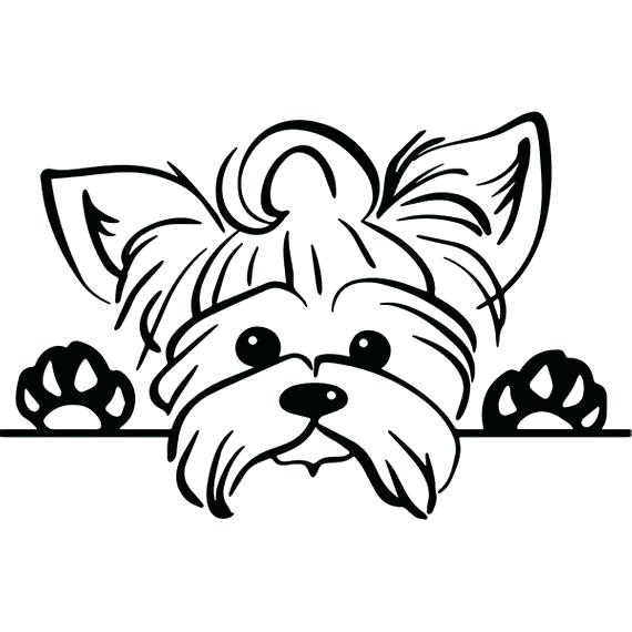 Cute Yorkie Coloring Pages