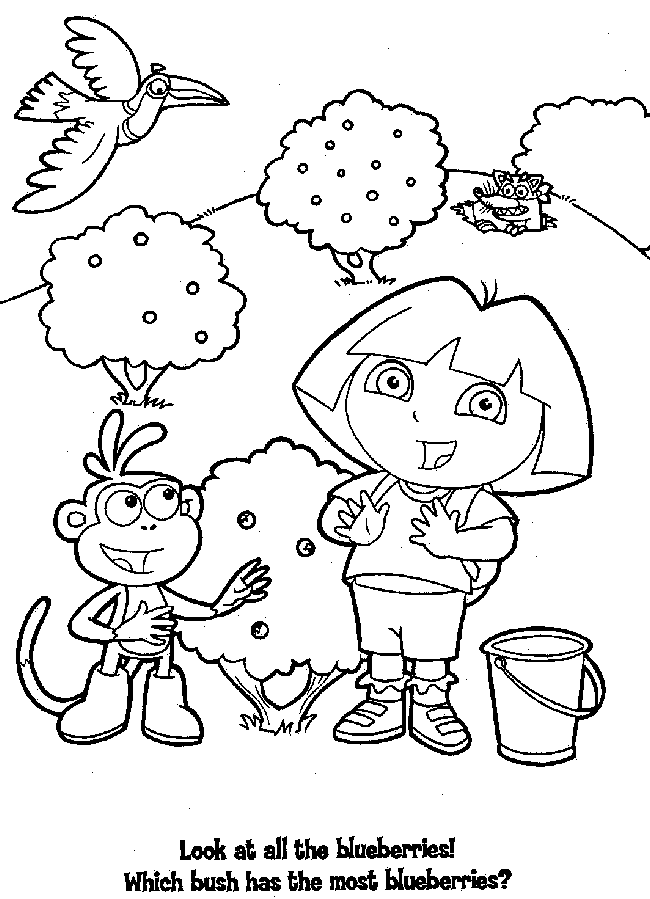 Dora Blueberry Coloring Page
