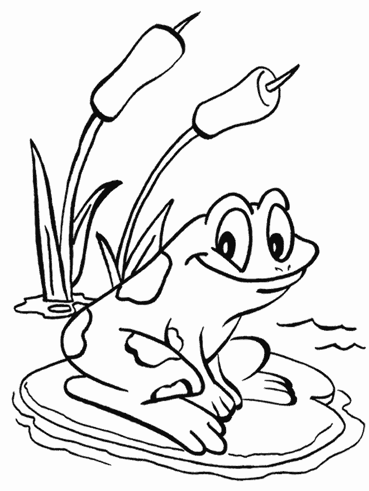 Frog On Lily Pad Coloring Page