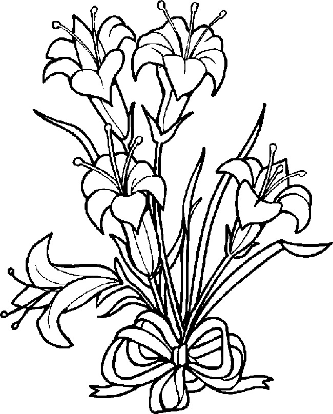 Lily Flowers Coloring Pages