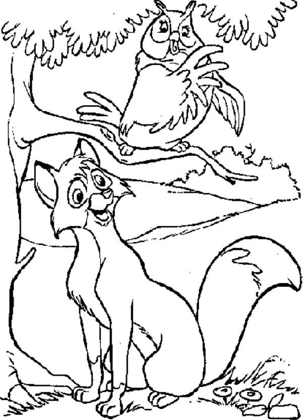 Owl Fox And The Hound Coloring Pages