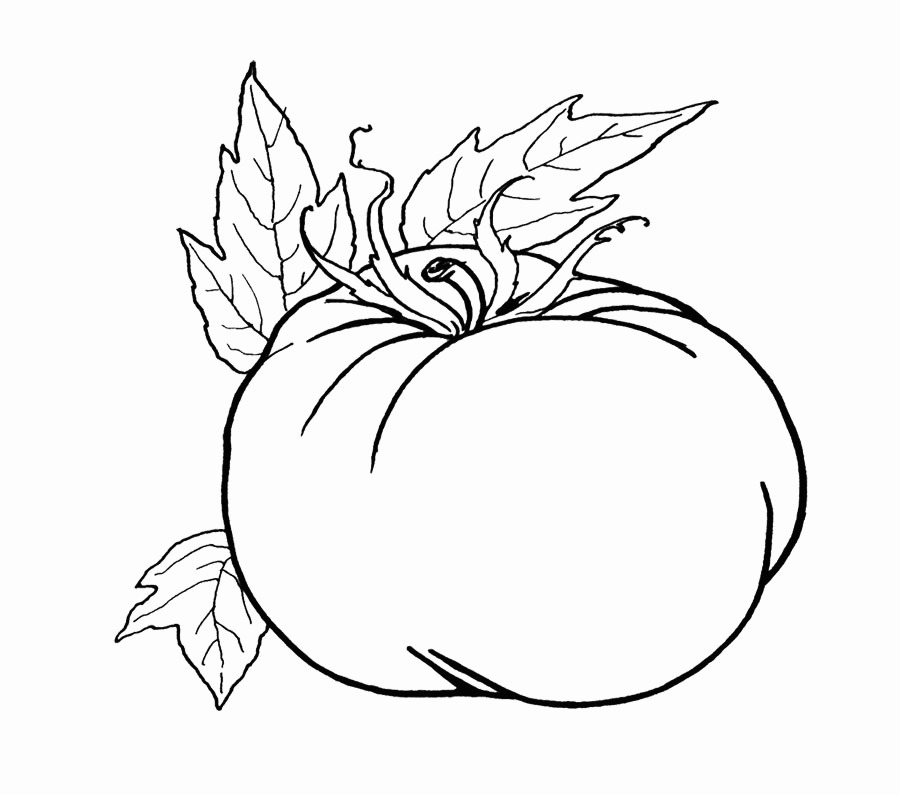 Tomato Coloring Pages For Kids Coloring Pages