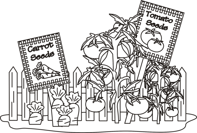 Tomato Garden Coloring Page