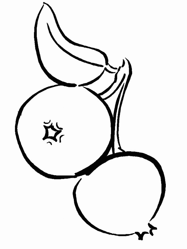 Two Blueberries Coloring Page