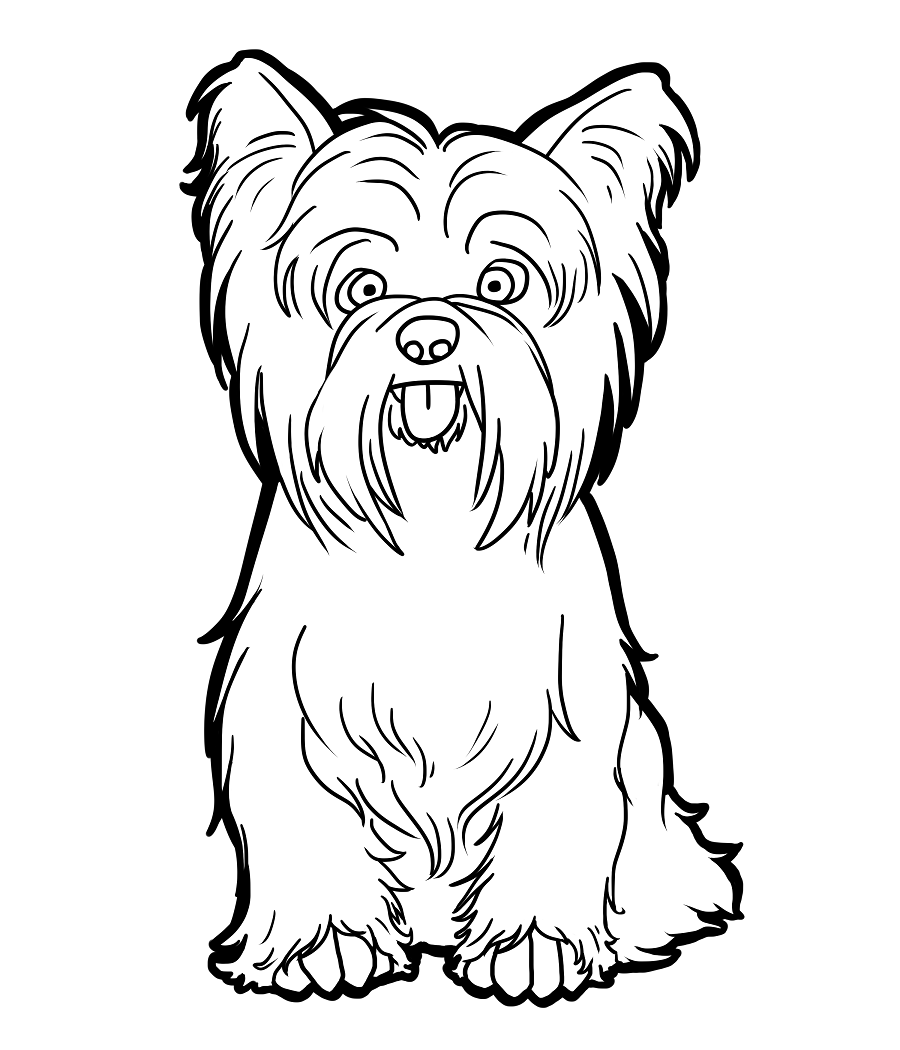 Yorkie Coloring Pages   Best Coloring Pages For Kids