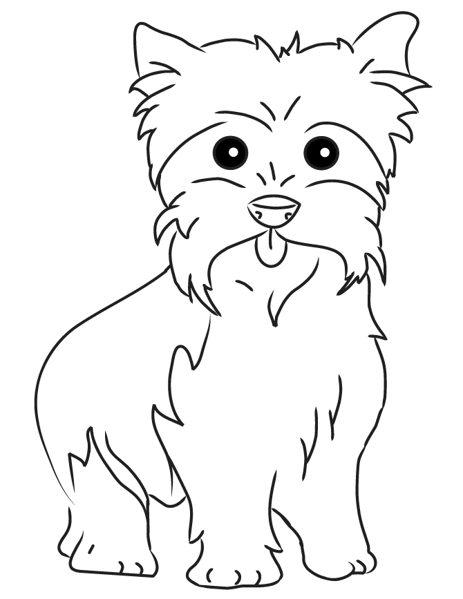 Yorkie Dog Coloring Page