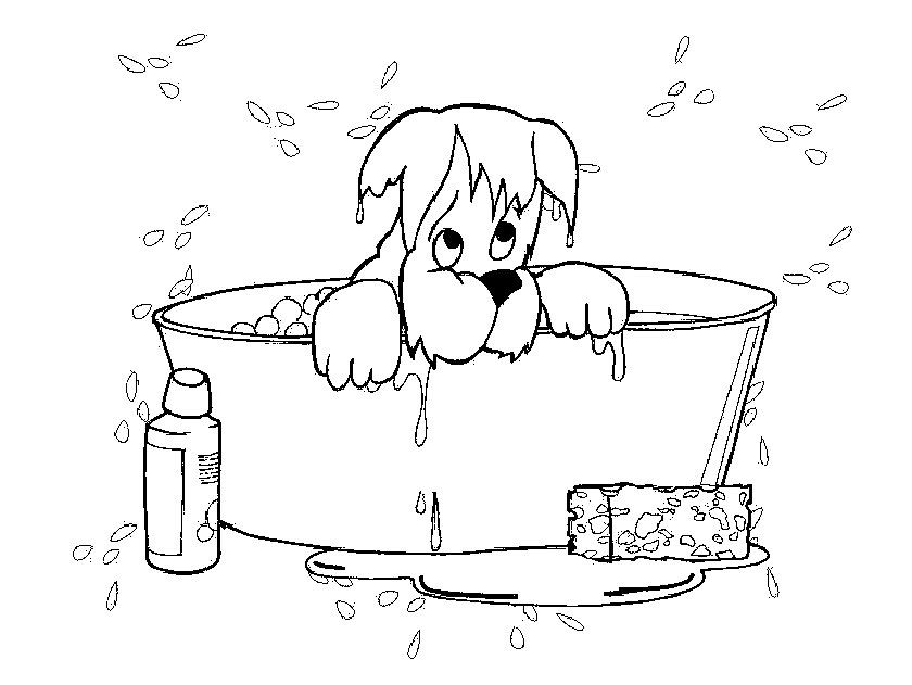 Yorkie Taking A Bath Coloring Page