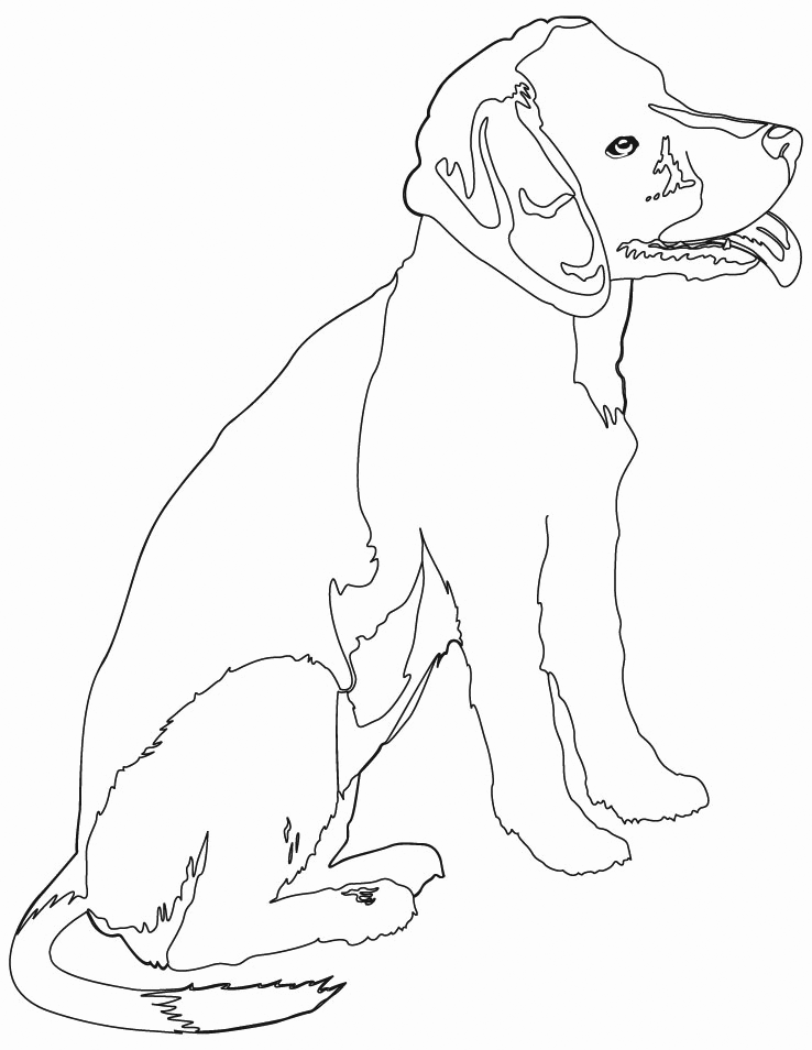 coloring beagle puppy jack russell drawing terrier rottweiler dog animals printable animal fun getcolorings getdrawings