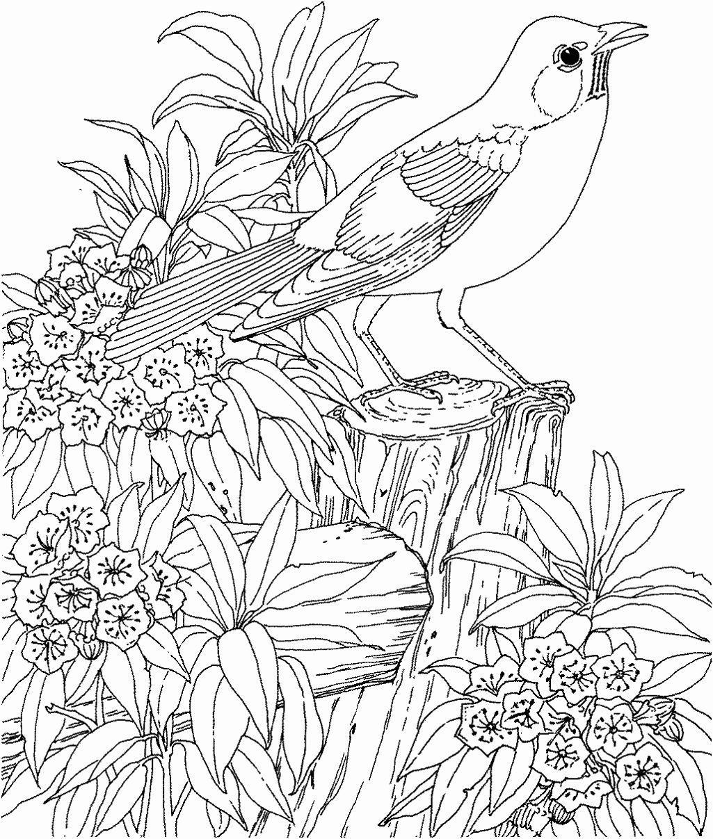 Bird In Nature Landscape Coloring Pages