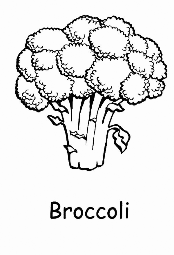 Broccoli Coloring Pages - Best Coloring Pages For Kids