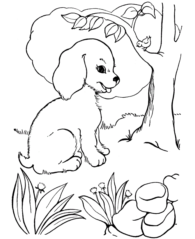 Cute Beagle Puppy Coloring Page