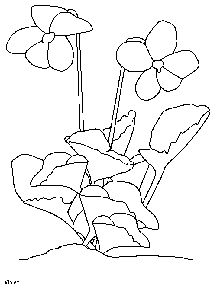 Easy Violet Coloring Pages