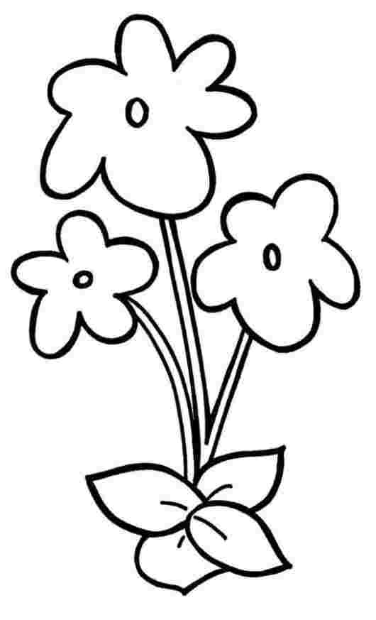 wood violet coloring pages